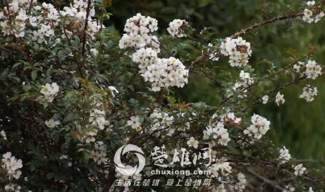 QQ图片20150428154431.png