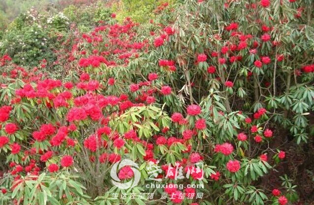 QQ图片20150428154421.jpg