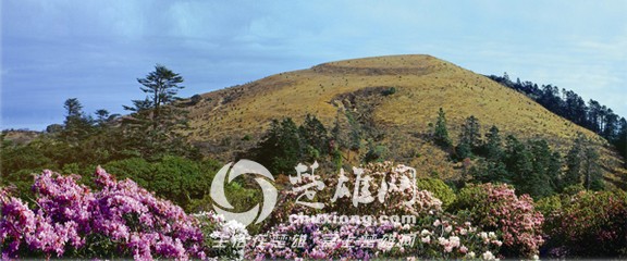 t0131fd23d9d8ebdaef.jpg