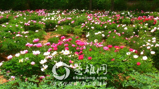 xin_42304051120048902165523.jpg