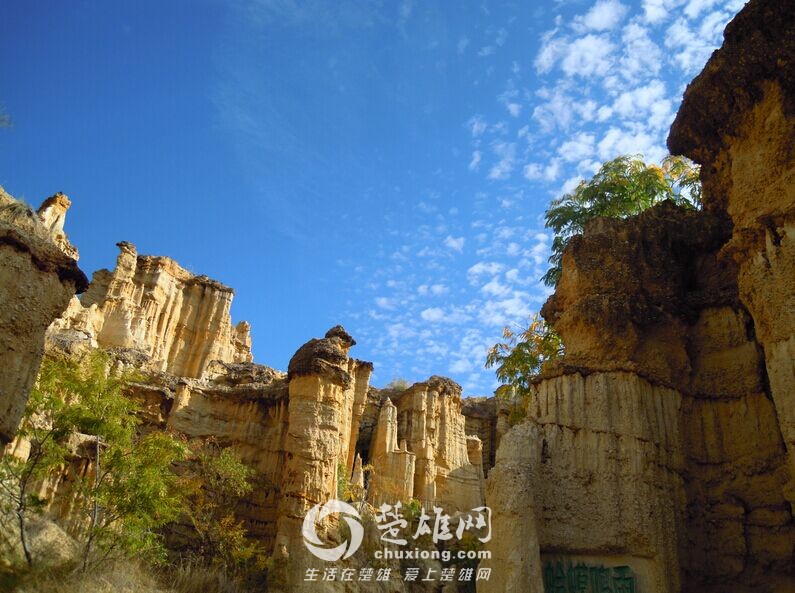 QQ图片20150430164718.jpg