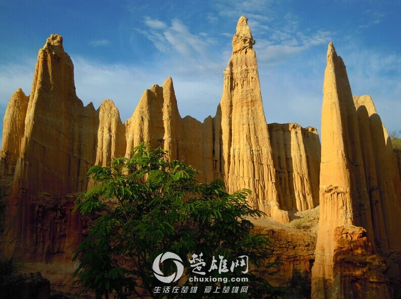 QQ图片20150430164755.jpg
