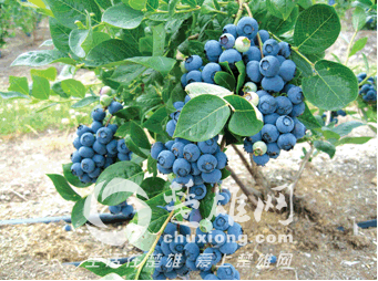 QQ图片20150506085115.png