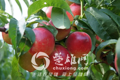 QQ图片20150506164823.png