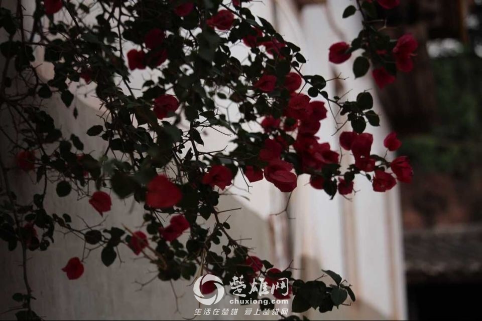 QQ图片20150507161332.jpg