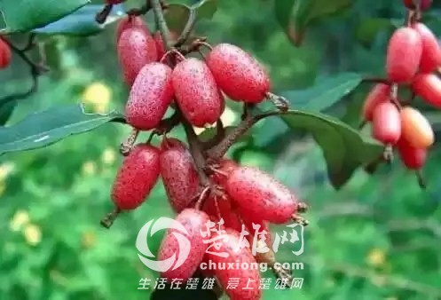0.webp (12).jpg