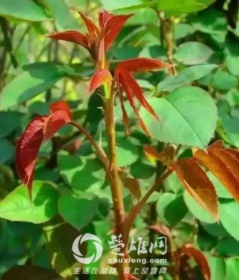 0.webp (16).jpg