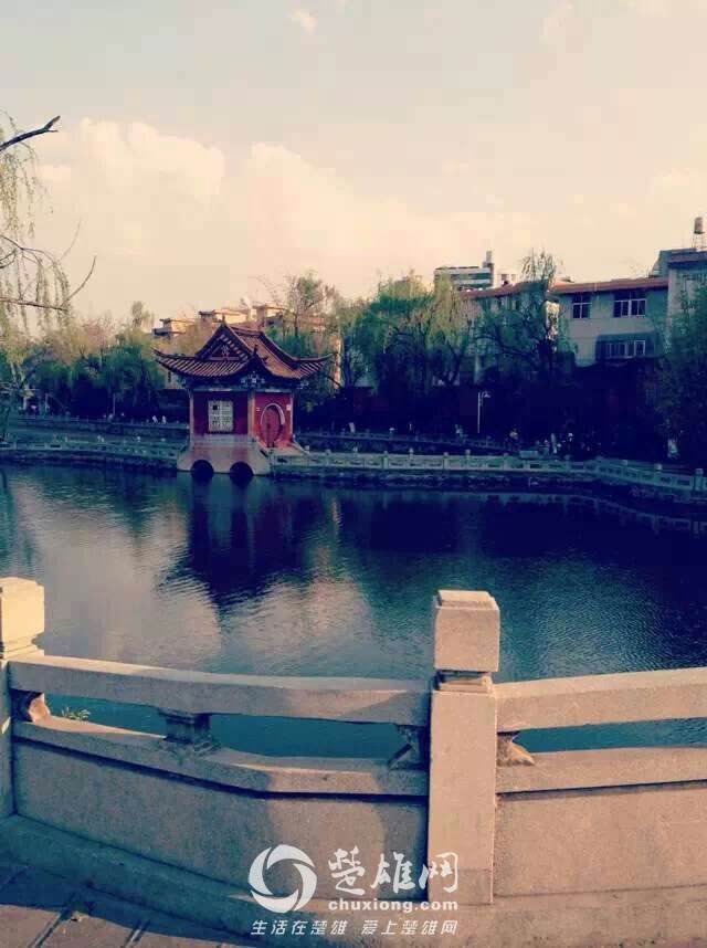 2753_6623833.jpg