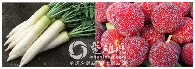 image (18).png