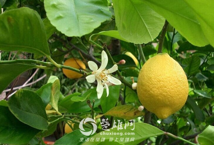 QQ图片20150527160603.jpg