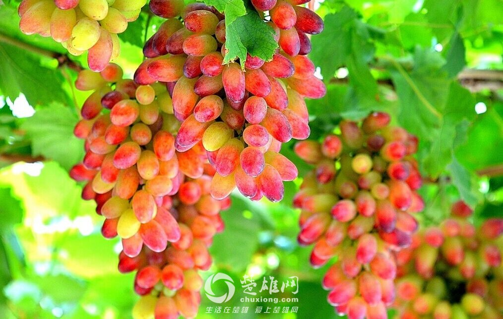 QQ图片20150527165325.jpg