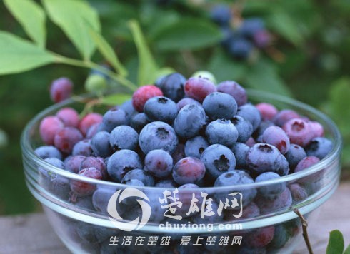 12825_500x500.jpg