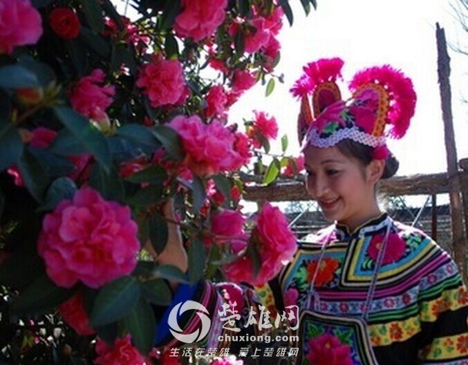 QQ图片20150528163730.jpg
