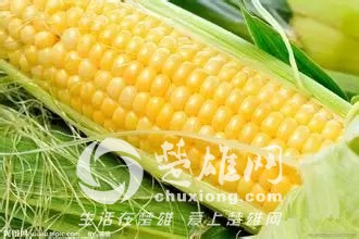 640.webp (2).jpg