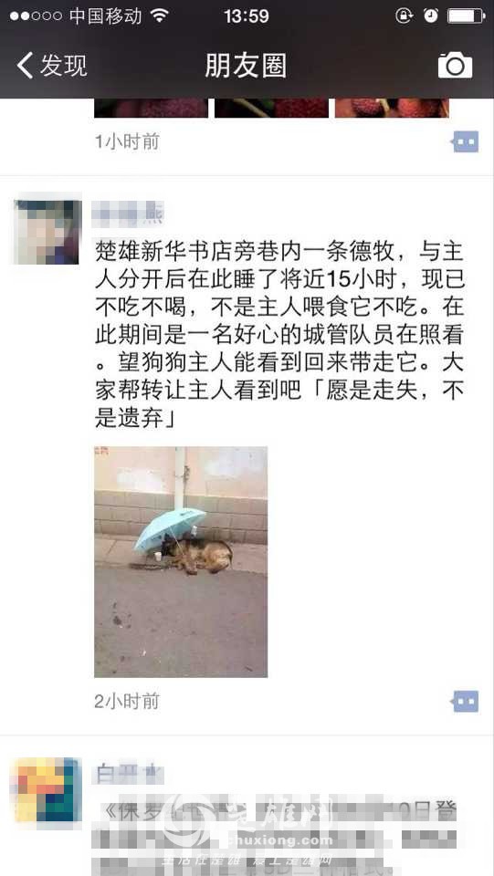 95A2D6C291C1B8A3081278D6AB8F085B.jpg