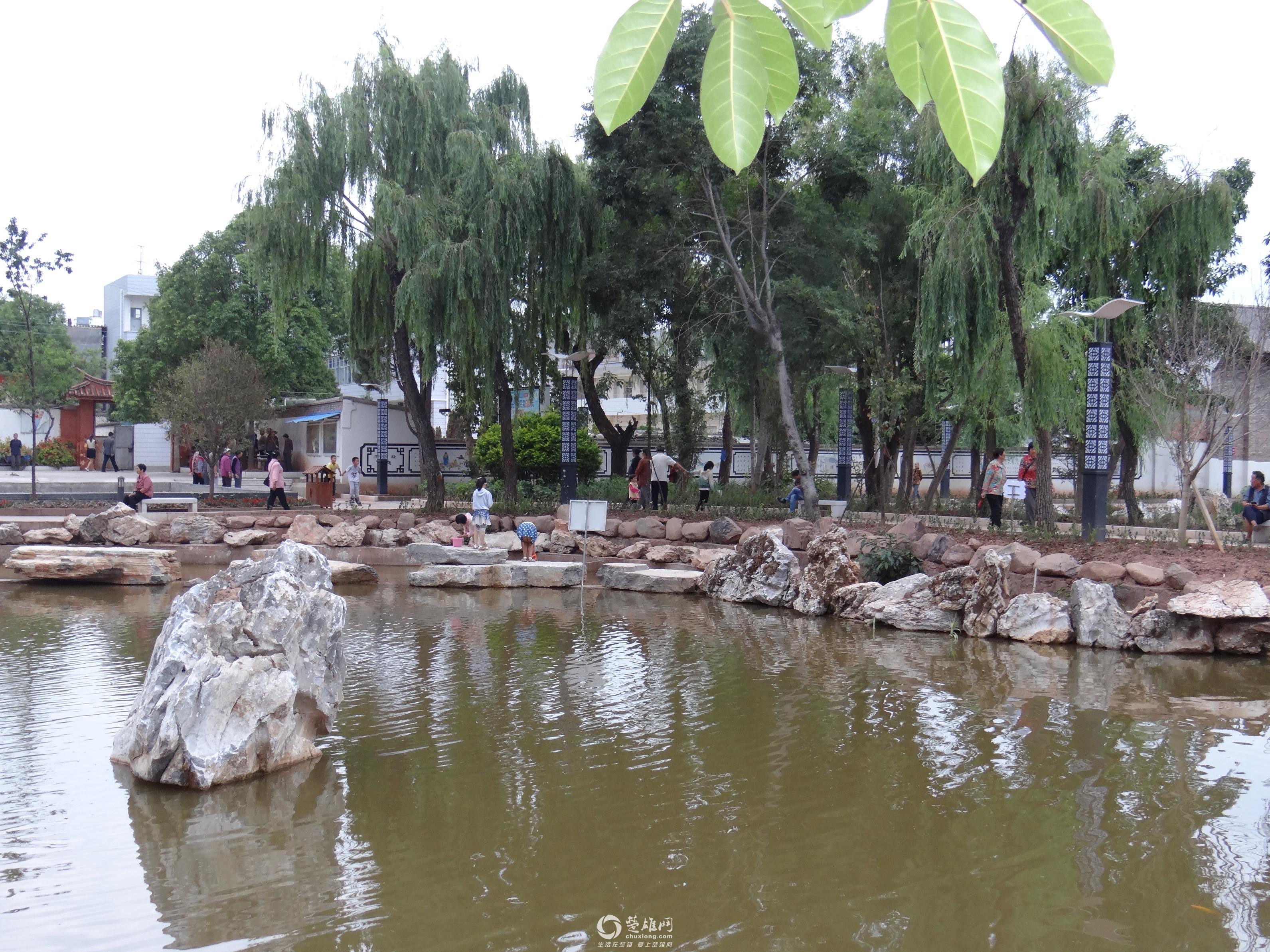 f6677_1.jpg