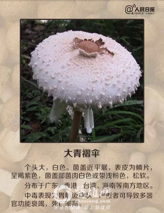 640.webp (7).jpg