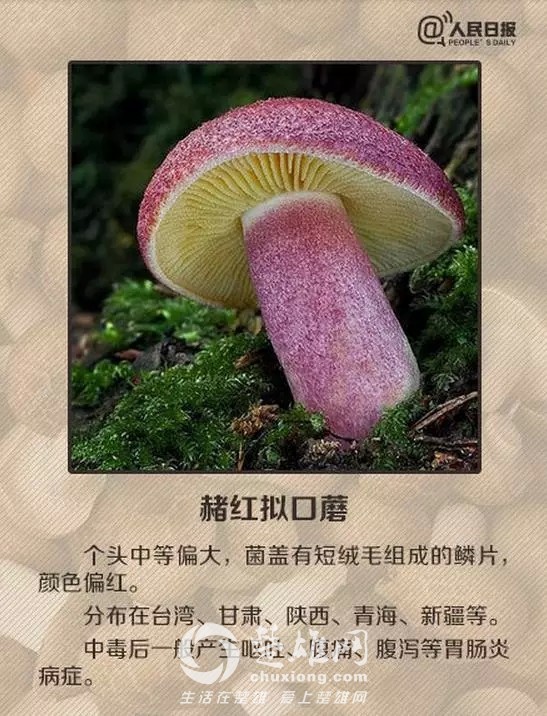 640.webp (8).jpg