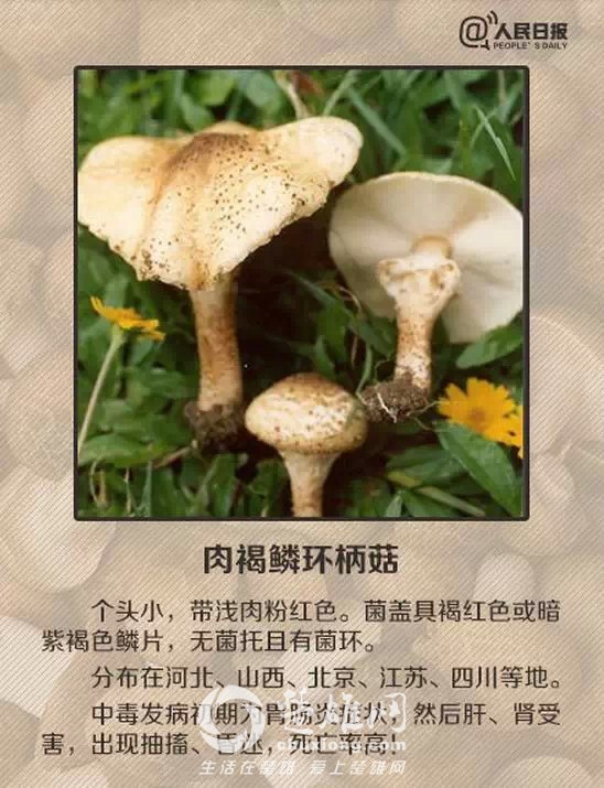 640.webp (9).jpg