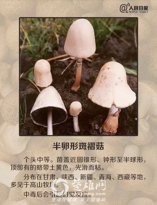 640.webp (10).jpg