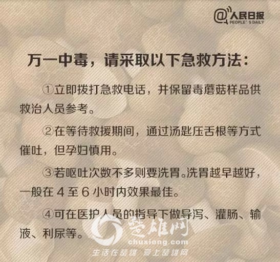 640.webp (13).jpg
