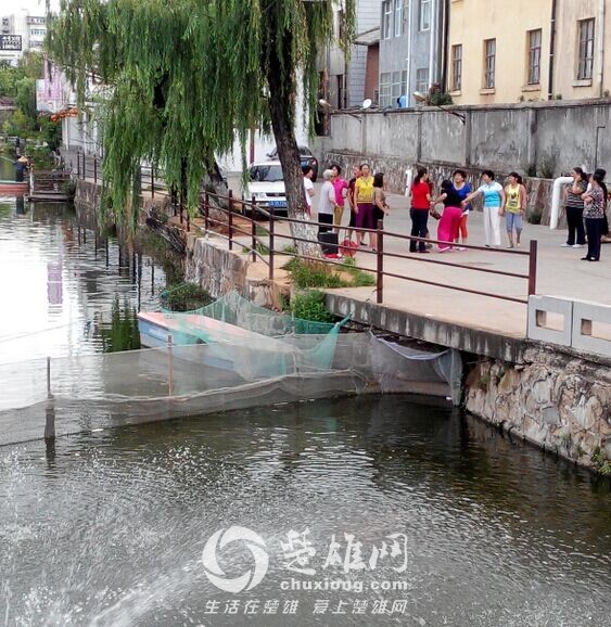 QQ图片20150629145523.jpg