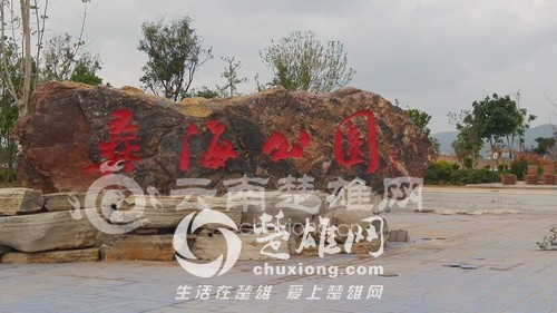 17534_500x500.jpg