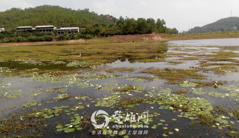 QQ图片20150719162729.jpg