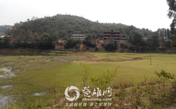 QQ图片20150719162752.jpg