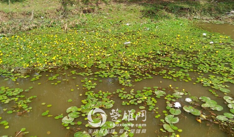QQ图片20150719162817.jpg