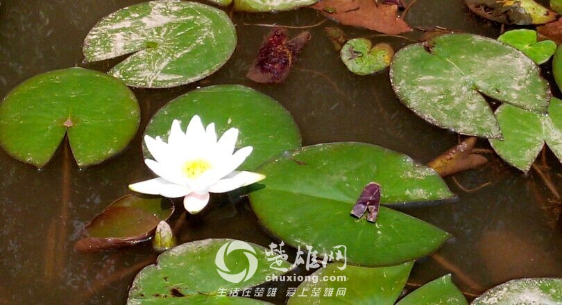 QQ图片20150719162901.jpg