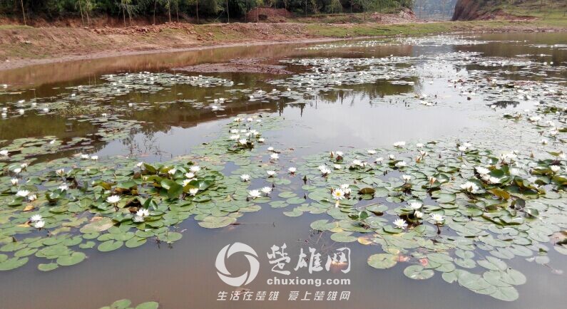 QQ图片20150719162923.jpg