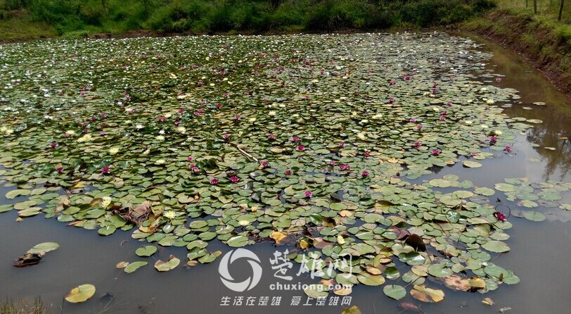QQ图片20150719163017.jpg