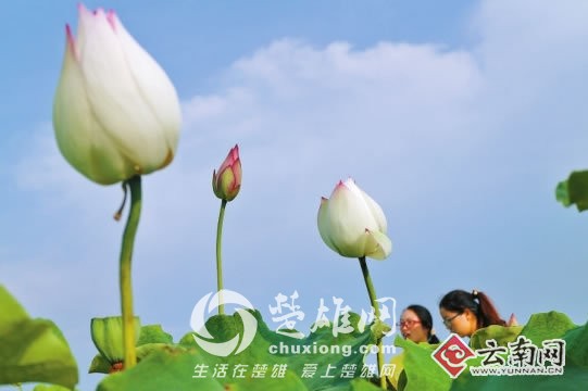 d8cb8a0c6f5b17167e3a3c.jpg