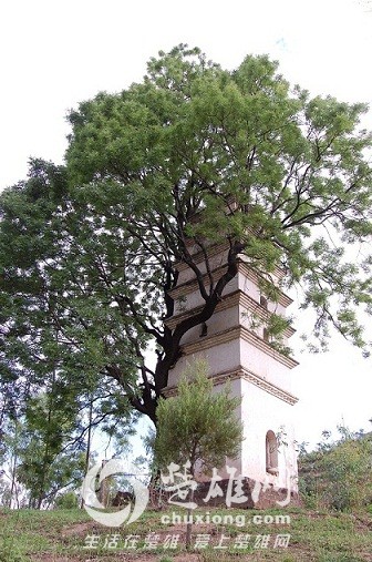 f6592_5.jpg