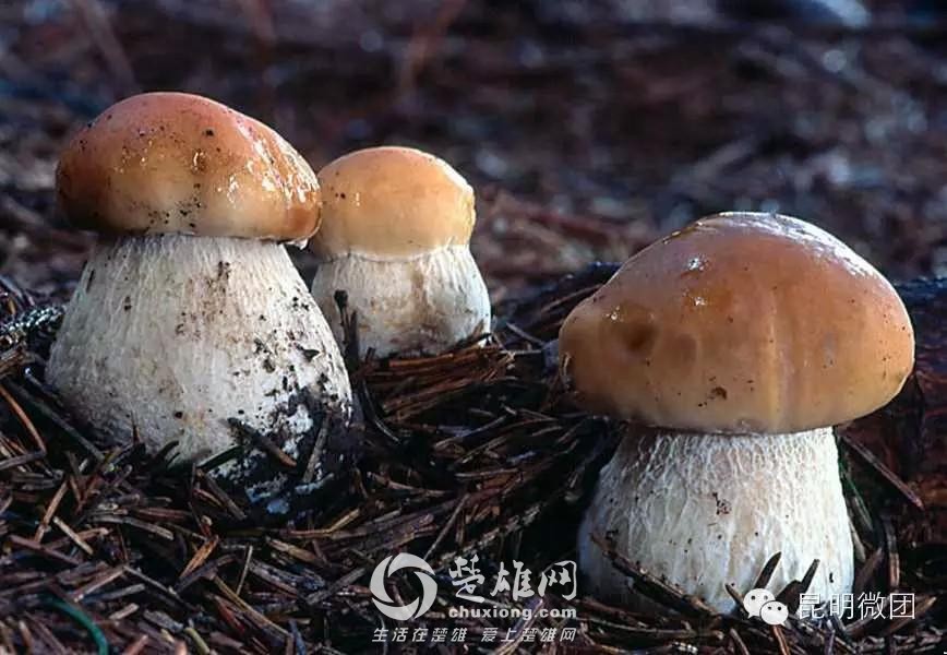 奇奇_701_1.jpg