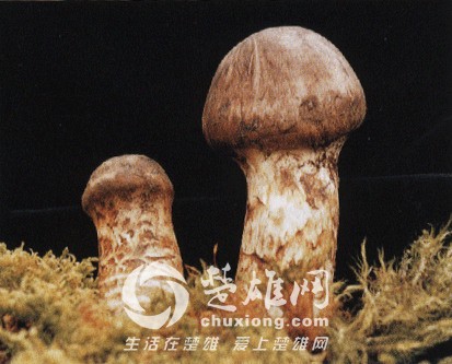 2010527161817.jpg