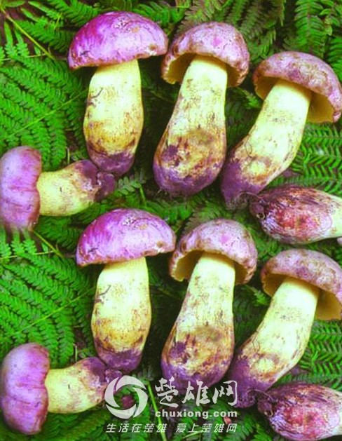 2011012414520371.jpg