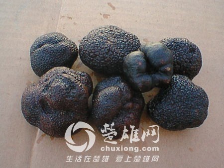 2010861500.jpg