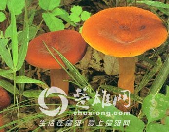 20130719160651835183.jpg