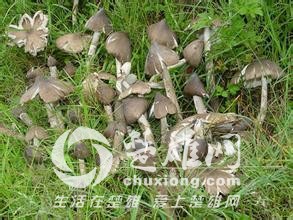 u=3309246026,3639609111&amp;fm=21&amp;gp=0.jpg