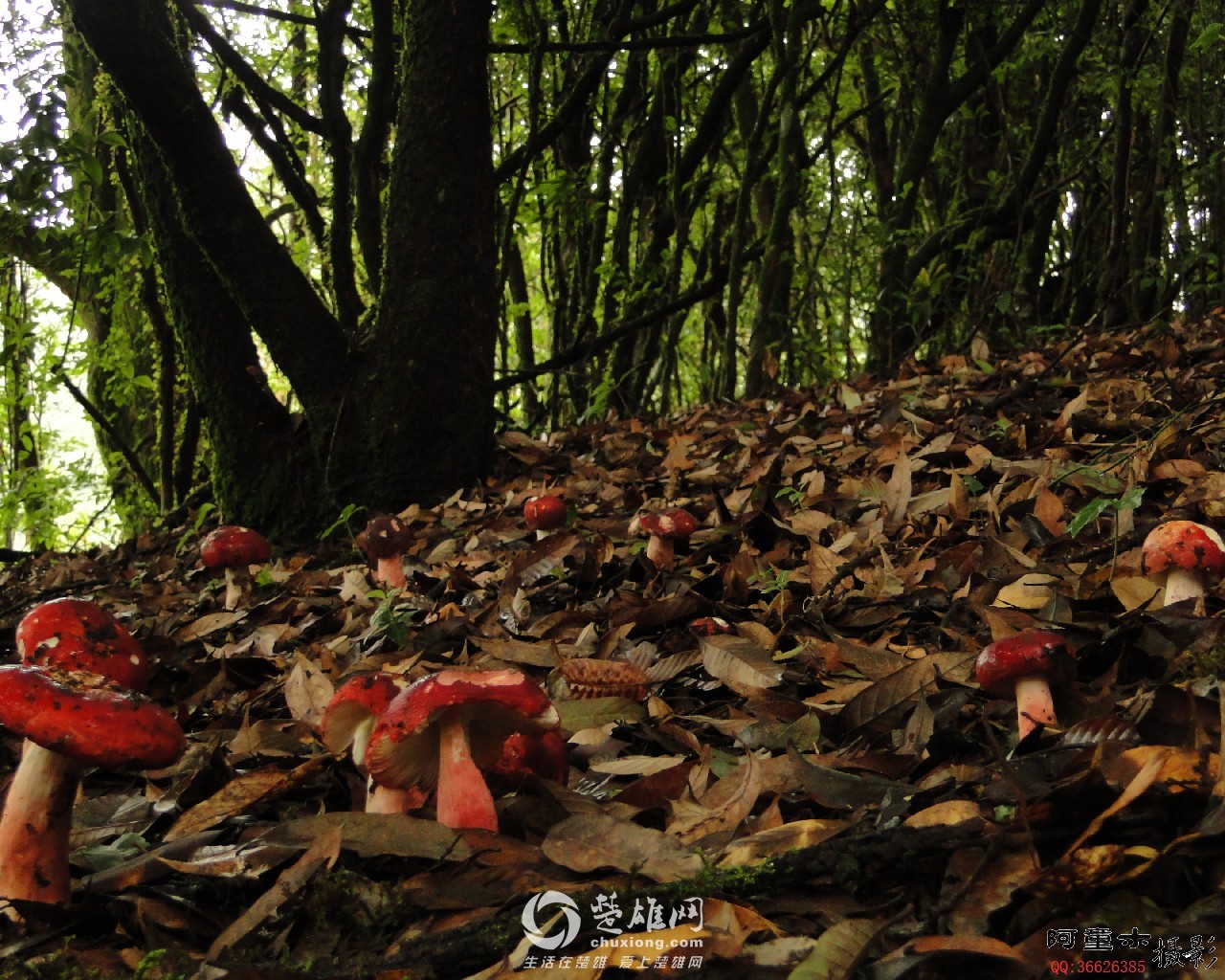 20110715103410157.jpg
