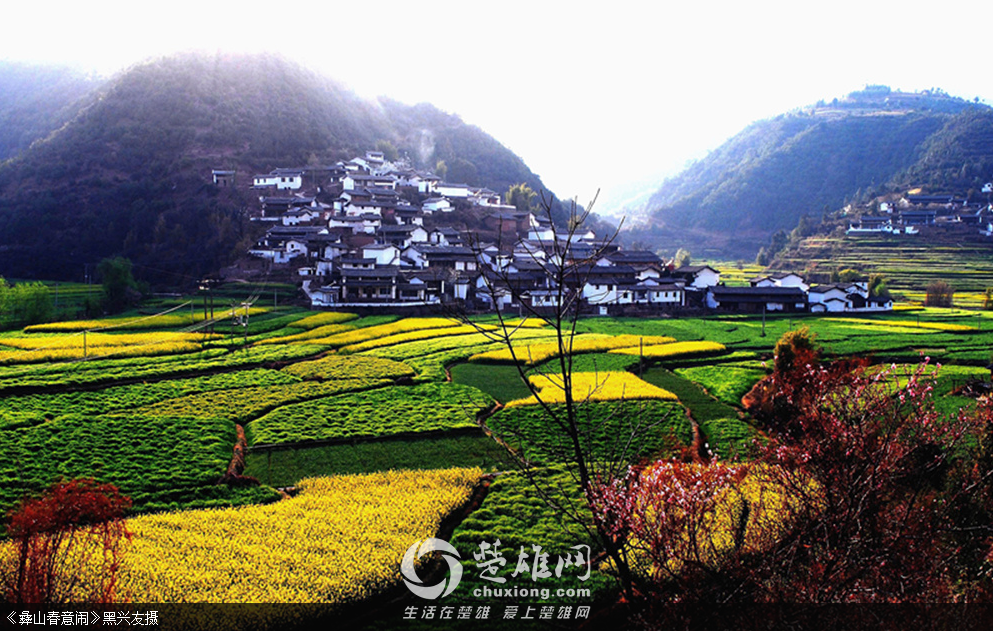 QQ图片20150723103416.png