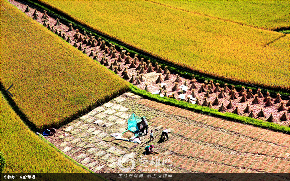QQ图片20150723103538.png