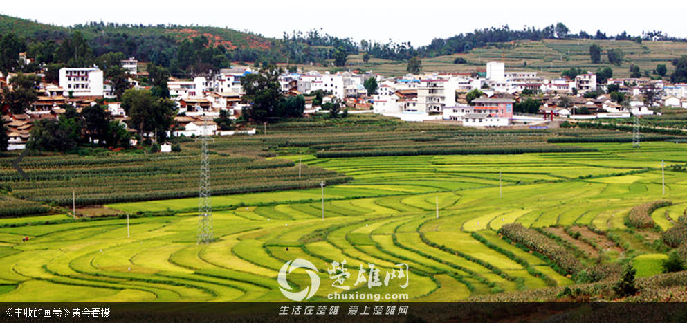 QQ图片20150723103620.png