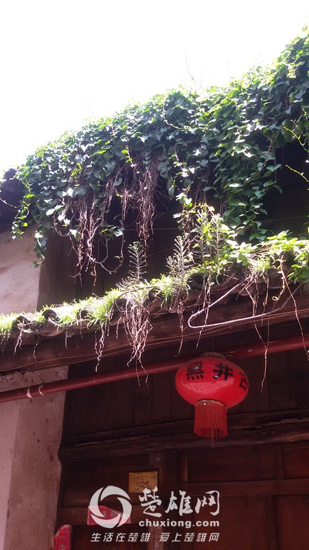 20150725_145802_副本.jpg