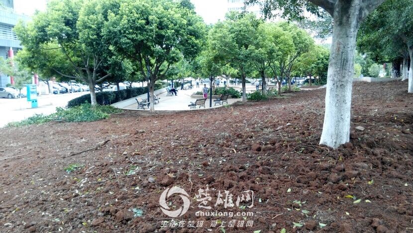 QQ图片20150729163407.jpg