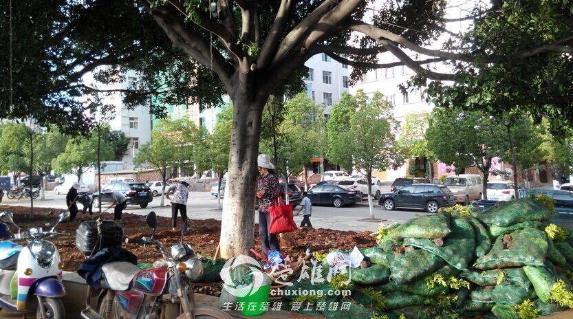 QQ图片20150729163449.jpg