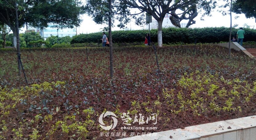 QQ图片20150729163508.jpg