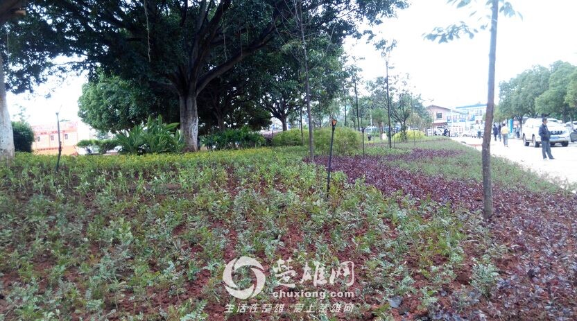 QQ图片20150729163541.jpg